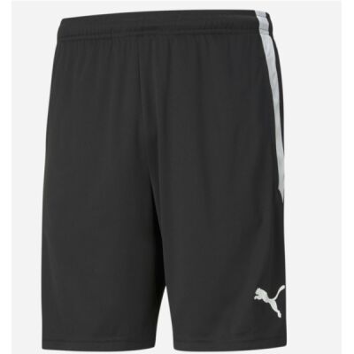 teamLIGA Training Shorts Thumbnail