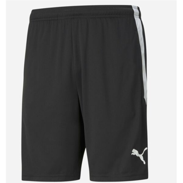 teamLIGA Training Shorts Thumbnail