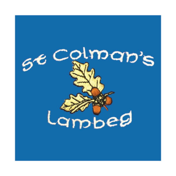 St Colman's Primary School Lambeg  Thumbnail