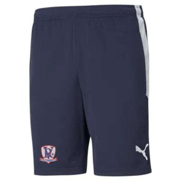 Valley Rangers teamLIGA Training Shorts Thumbnail