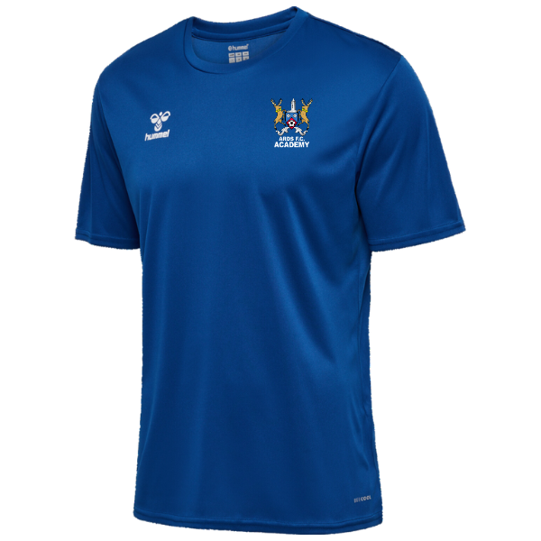 Ards FC Academy Hummel Royal T-Shirt